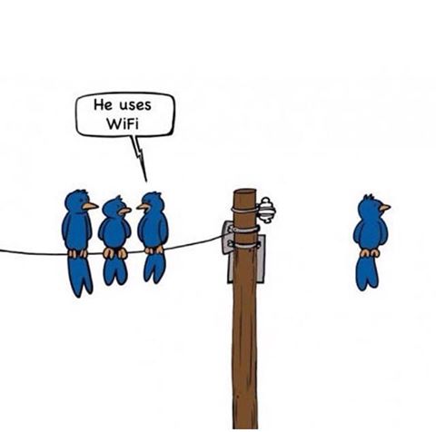 10615542_10153013846145977_1301192981972065403_n[1]