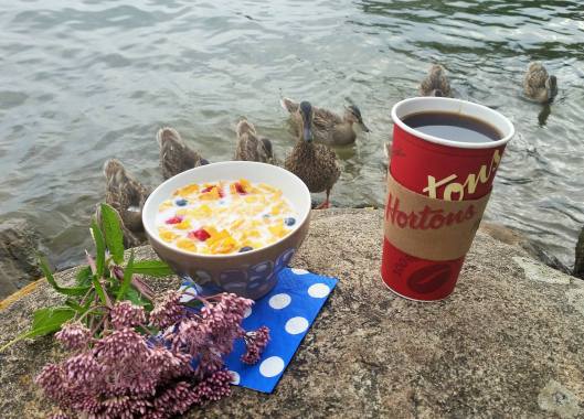 11875149_1484430158537694_4684172161880674332_o