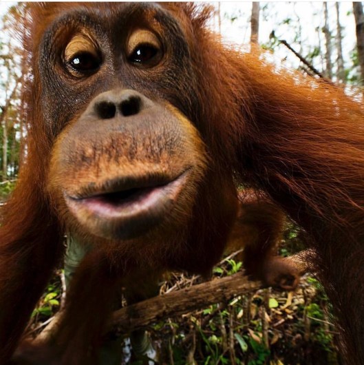 14203000_1653735081607200_1814719281_o