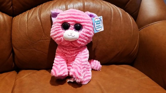 14697335_1147854521975071_1678566509_o