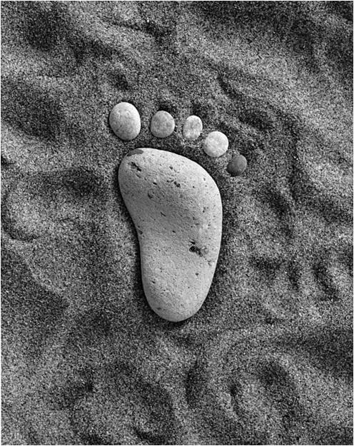 12105729_1516000095381527_8506255930688461048_n