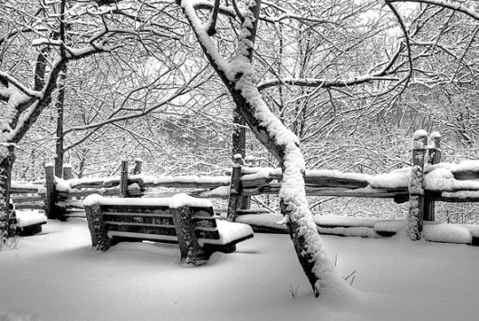 20091131-snow-bench