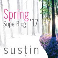 superblog2