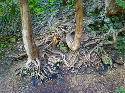 20180701_163313_resize