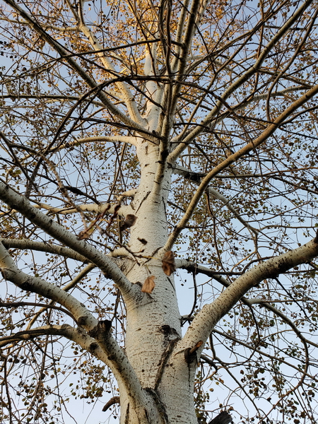 20181009_181434_resize