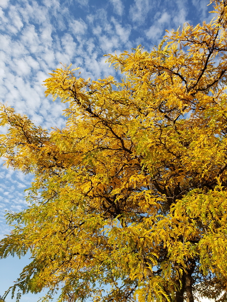 20181010_170958_resize