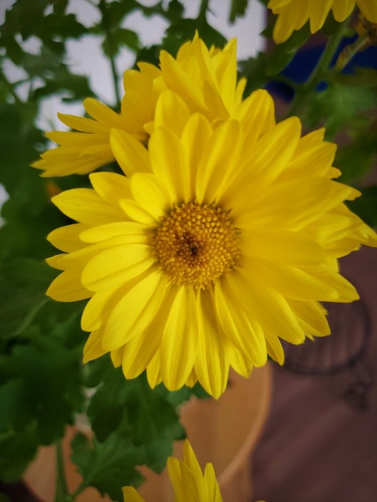 46492847_328224387960795_6286234621143154688_n