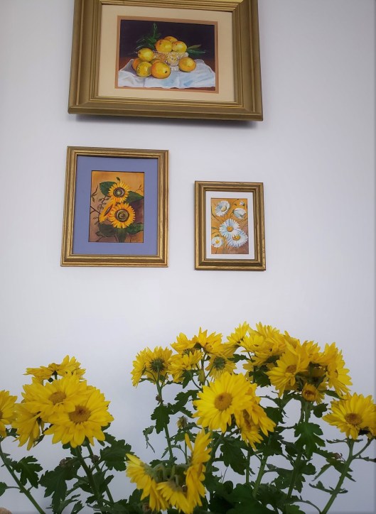 46503274_337060586875349_7427192331138236416_n