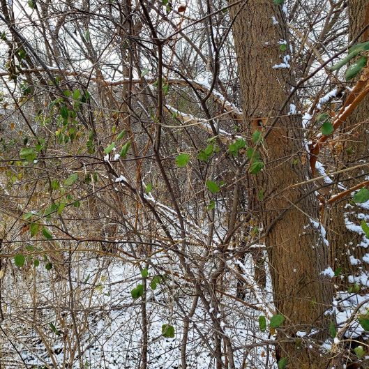 46510946_2289955737899105_8283655122592989184_n