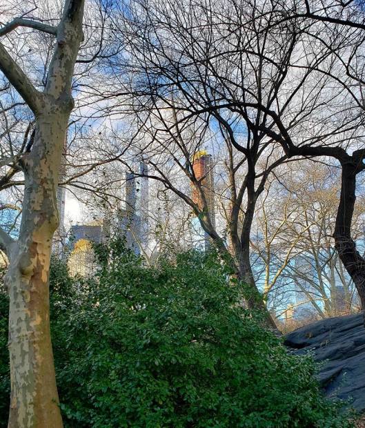 49347960_2015701425190372_4942315938063056896_n