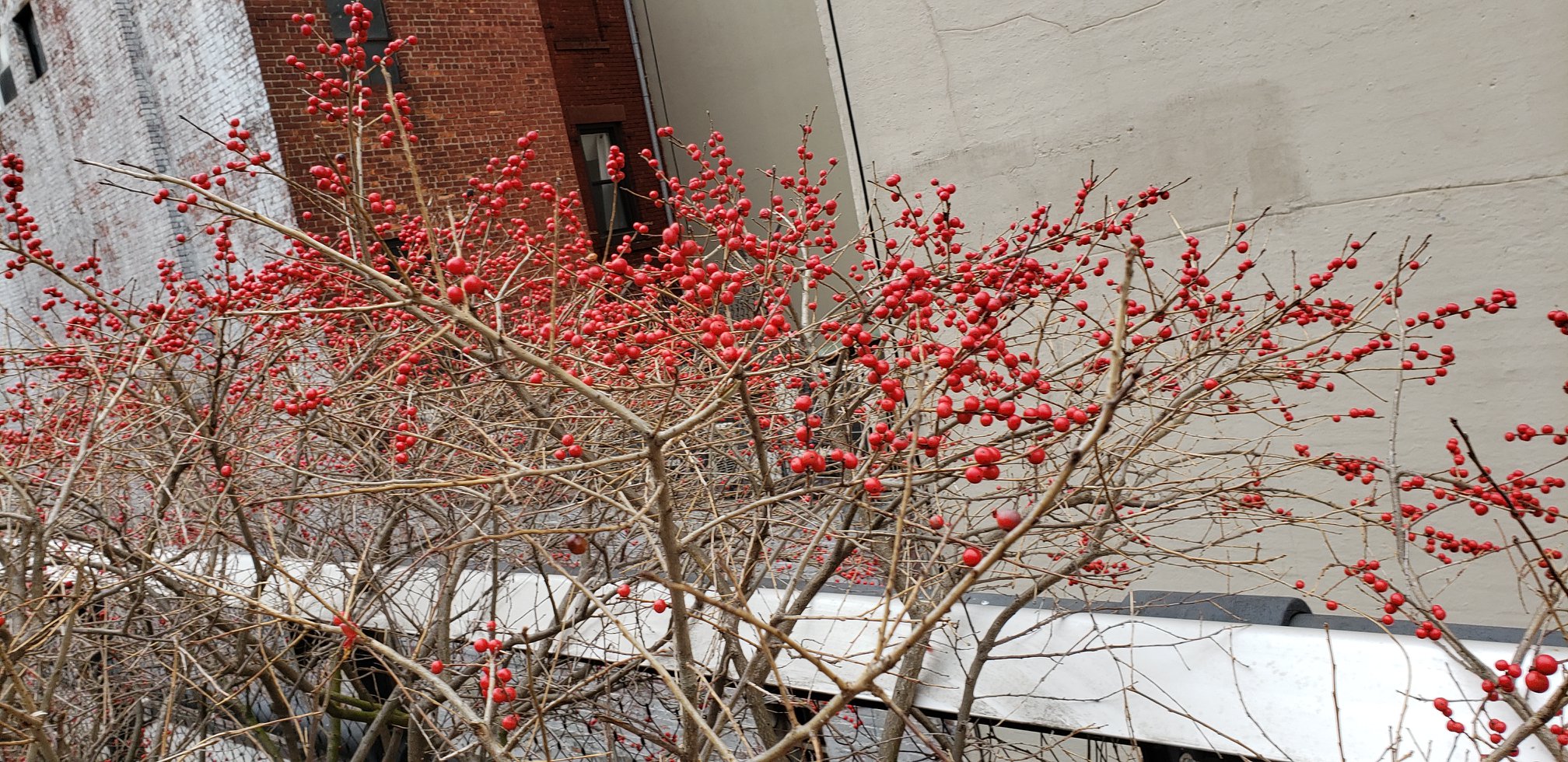 49707211_2020191961407985_4499235592705409024_o