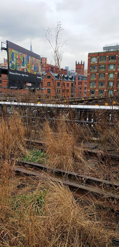 49769294_2020191848074663_2136599990418538496_n