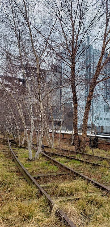 49810404_2020191558074692_1835612758238822400_n