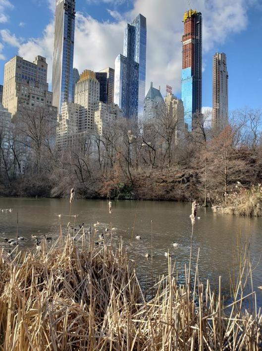 49848514_2015701781857003_4136795221130215424_n