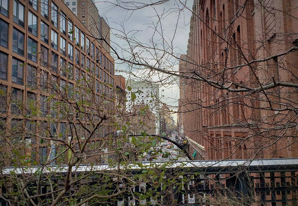 49947827_2020191661408015_1060828669817126912_n