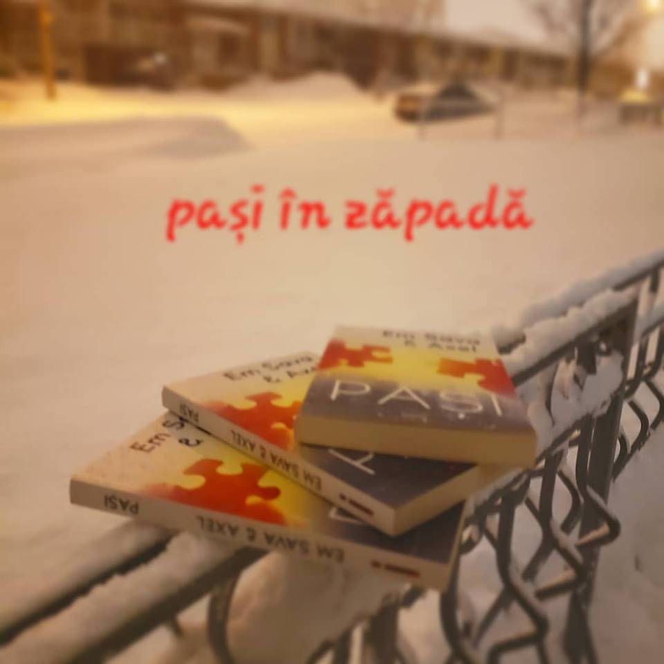 50827366_2149205662060137_3101787362120695808_n