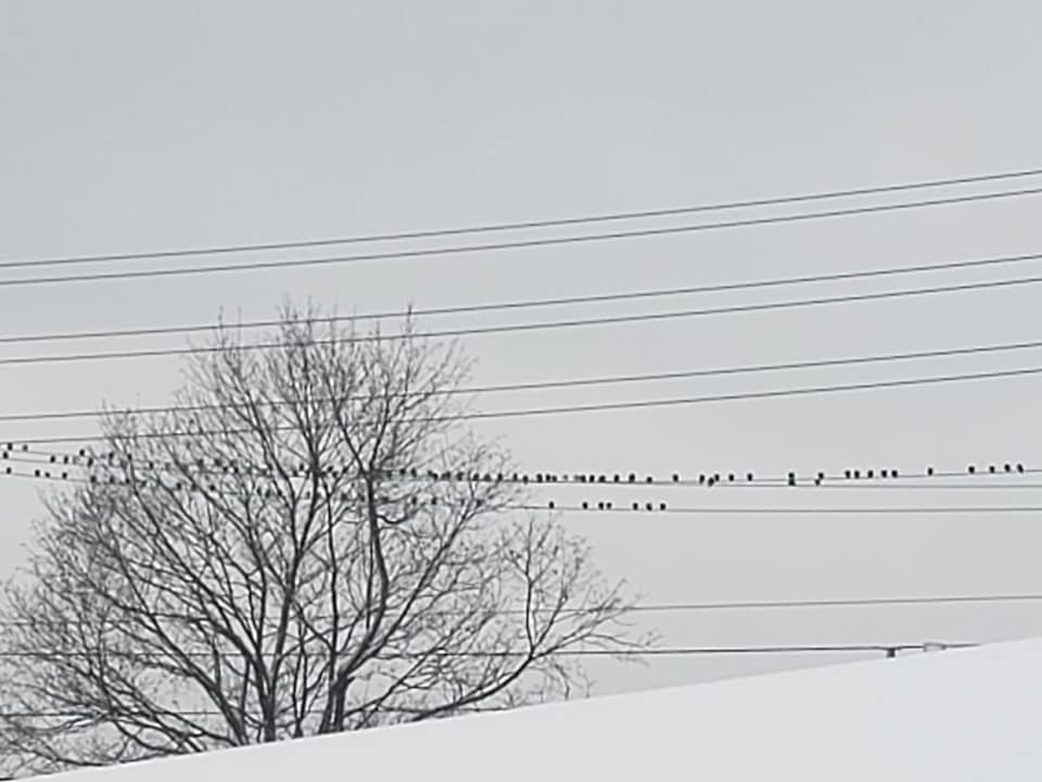 85024034_2439907512989949_5135067408813260800_n