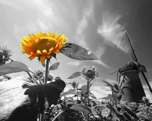 87328525_1314092462112966_7567397058865266688_n