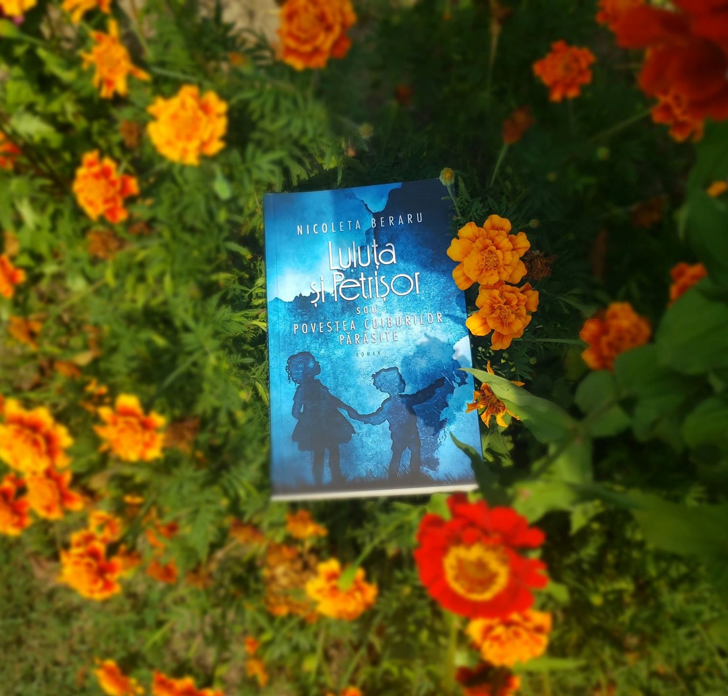 69051187_2367930553526666_2122270858532618240_n